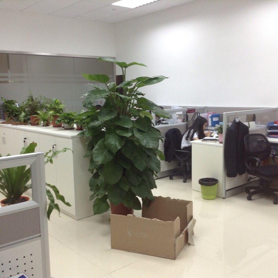 南粤银行银行家具配套工程案例